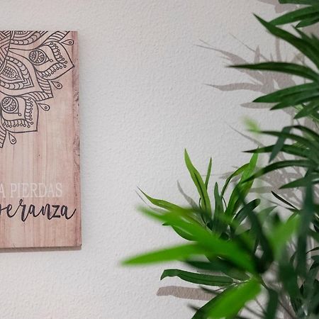 Апартаменты La Casina De Leo Y Mia - Centro De Gijon 6P - Wifi - Vut-3398-As Экстерьер фото